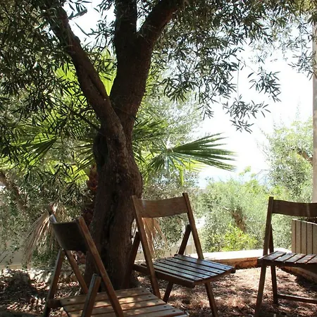 Apartamento La Nassa *